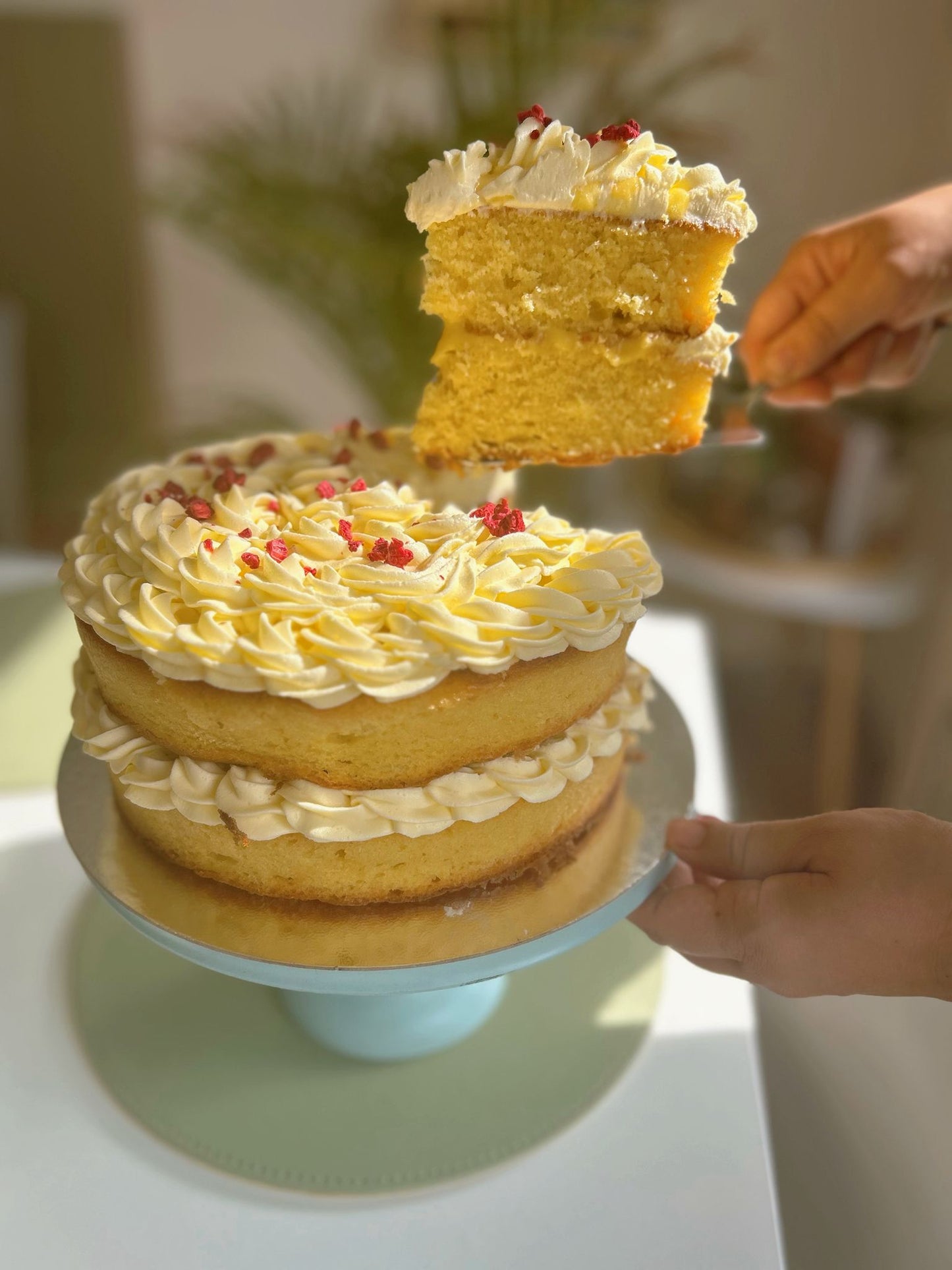 Lemon Drizzle Cake - Bácús Cafe