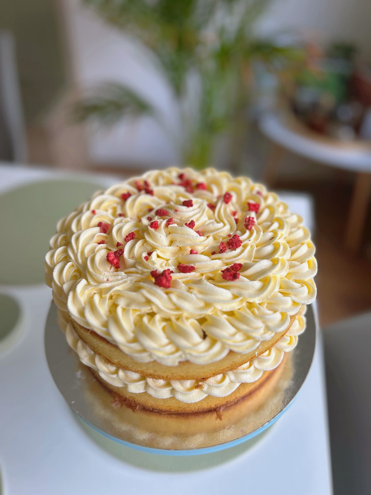 Lemon Drizzle Cake - Bácús Cafe